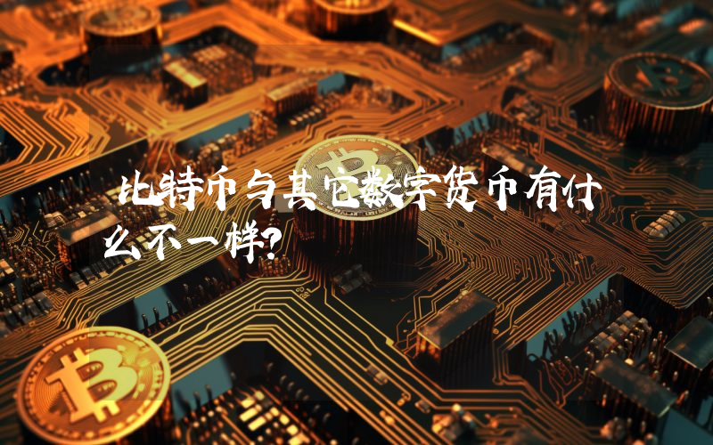 比特币与其它数字货币有什么不一样？