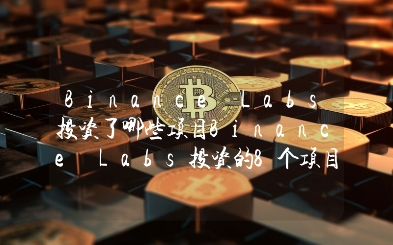 Binance Labs投资了哪些项目Binance Labs投资的8个项目速览