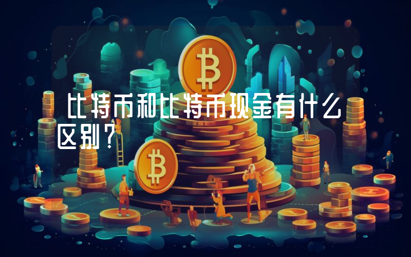 比特币和比特币现金有什么区别？