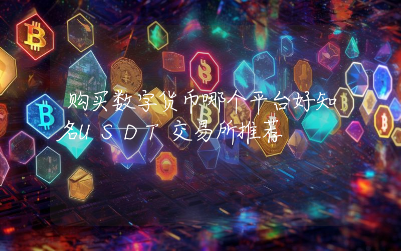 购买数字货币哪个平台好知名USDT交易所推荐