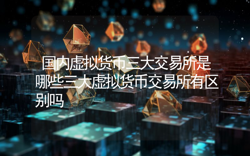 国内虚拟货币三大交易所是哪些三大虚拟货币交易所有区别吗
