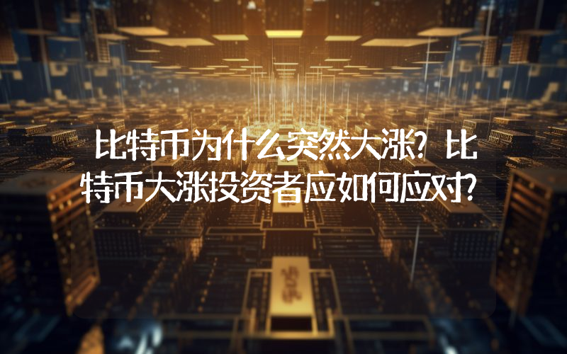 比特币为什么突然大涨？比特币大涨投资者应如何应对？
