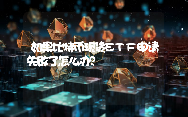 如果比特币现货ETF申请失败了怎么办？