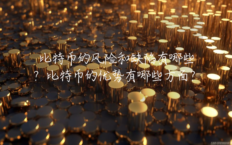 比特币的风险和缺陷有哪些？比特币的优势有哪些方面？