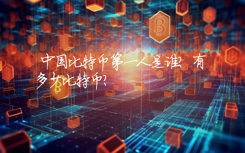 中国比特币第一人是谁？有多少比特币？