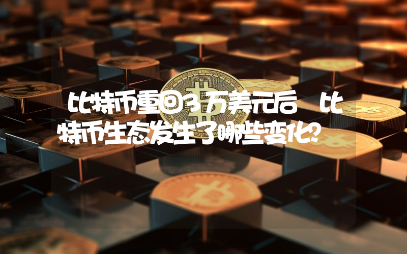 比特币重回3万美元后 比特币生态发生了哪些变化？