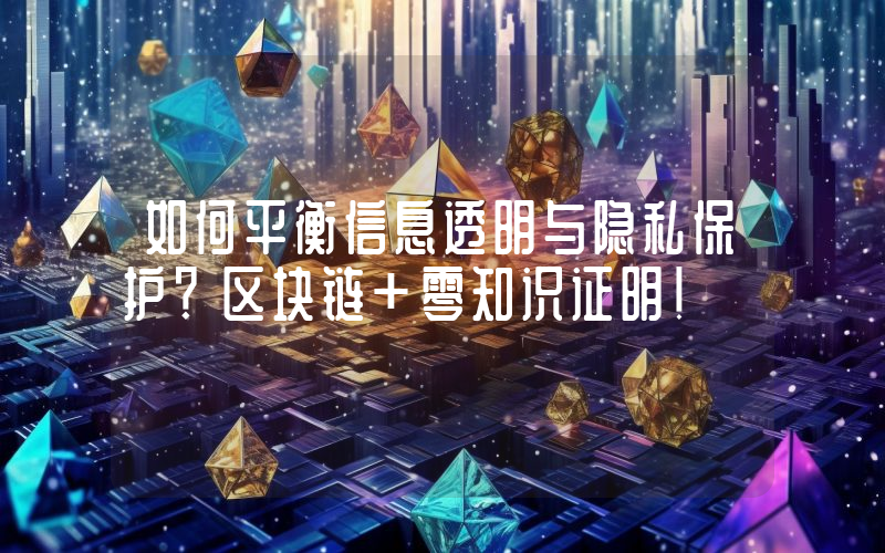 如何平衡信息透明与隐私保护？区块链+零知识证明！