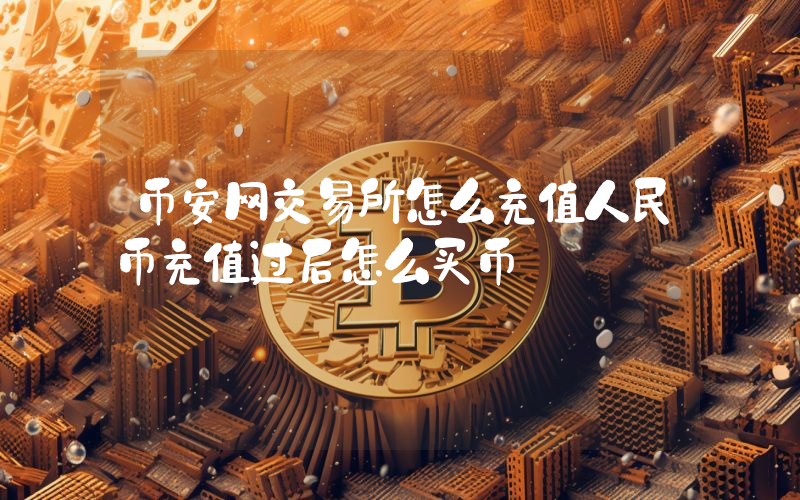 币安网交易所怎么充值人民币充值过后怎么买币