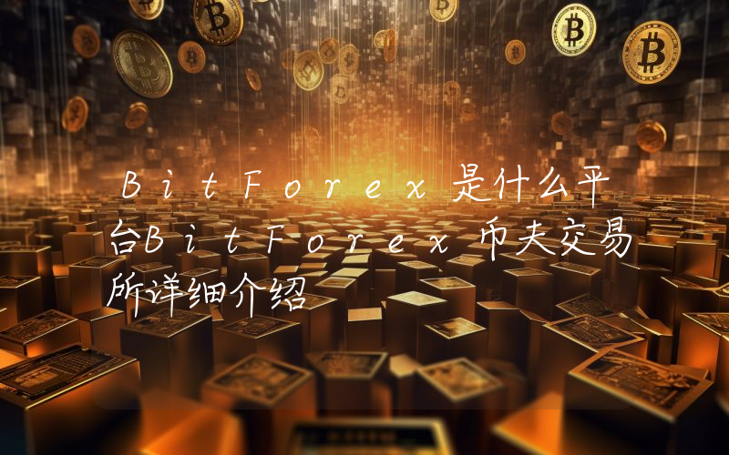 BitForex是什么平台BitForex币夫交易所详细介绍