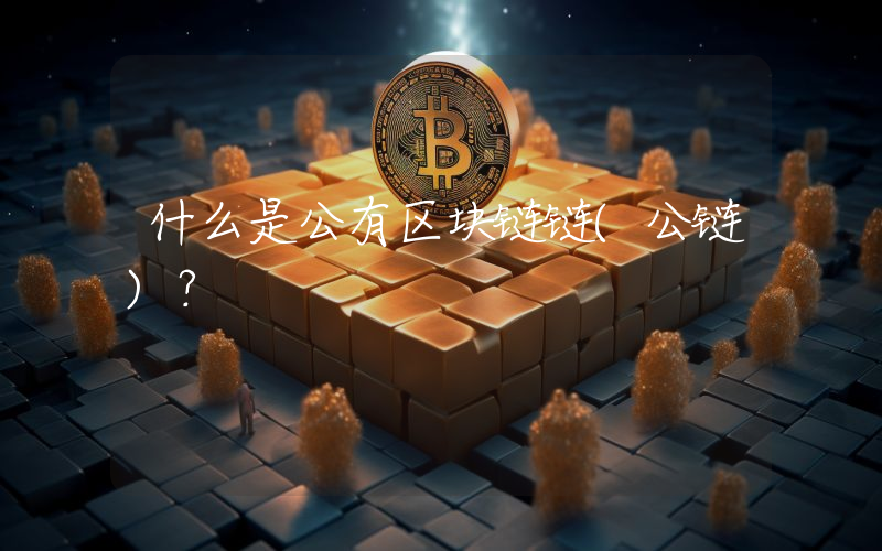 什么是公有区块链链(公链)？