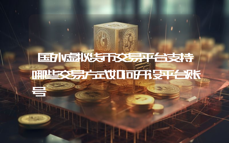 国外虚拟货币交易平台支持哪些交易方式如何开设平台账号