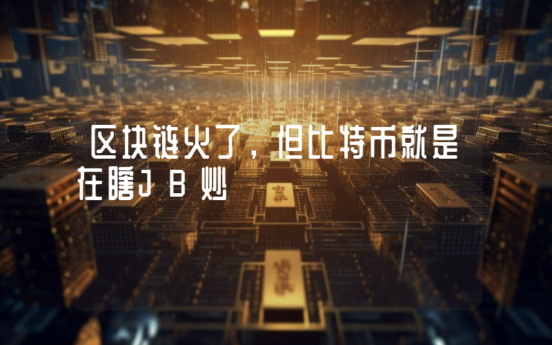 区块链火了，但比特币就是在瞎JB炒
