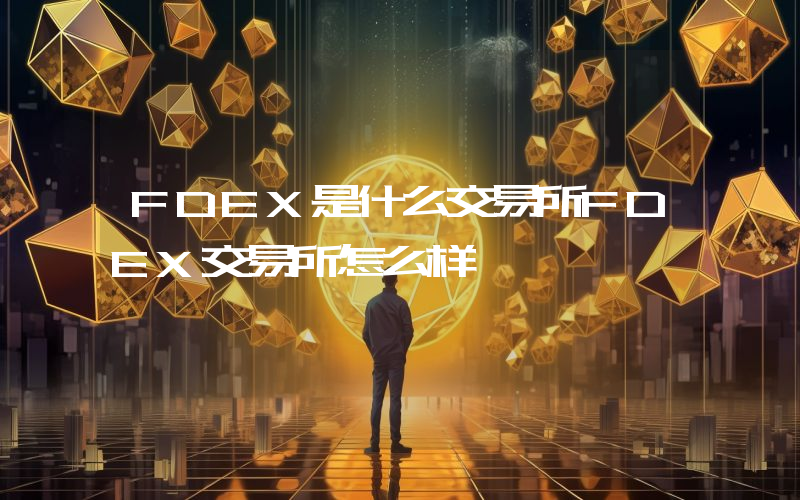 FDEX是什么交易所FDEX交易所怎么样