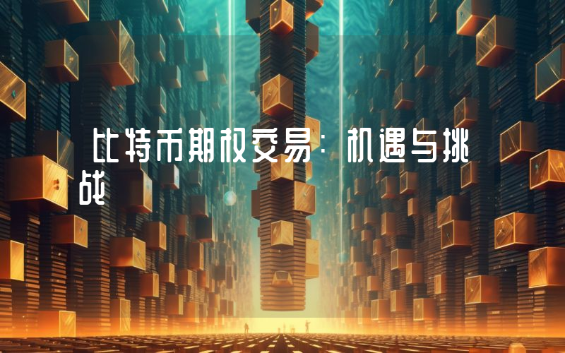 比特币期权交易：机遇与挑战