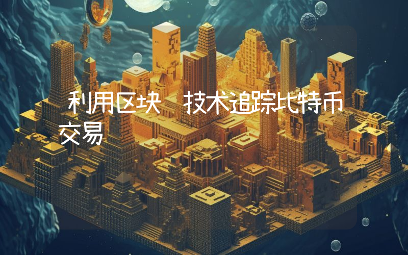 利用区块链技术追踪比特币交易