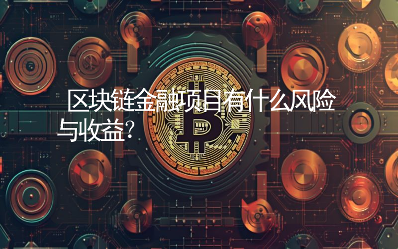 区块链金融项目有什么风险与收益？