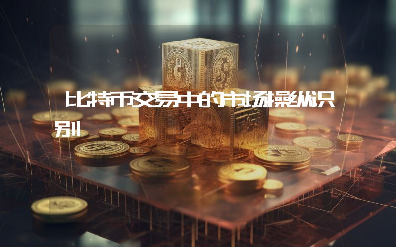 比特币交易中的市场操纵识别