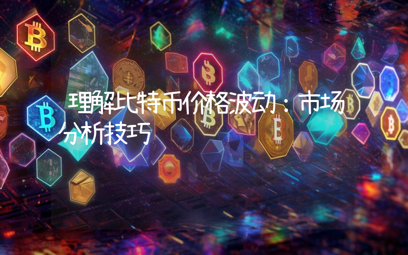 理解比特币价格波动：市场分析技巧