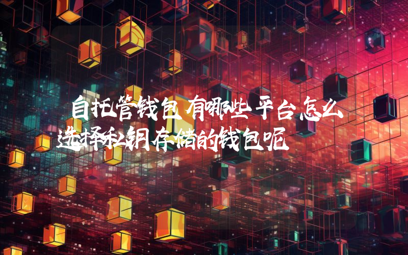 自托管钱包有哪些平台怎么选择私钥存储的钱包呢