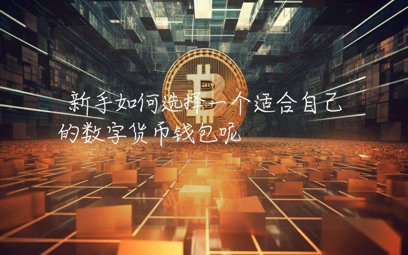新手如何选择一个适合自己的数字货币钱包呢