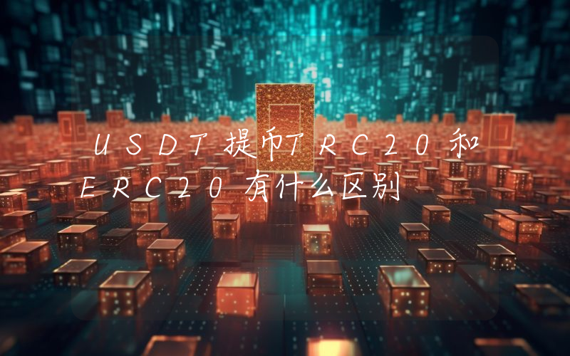 USDT提币TRC20和ERC20有什么区别