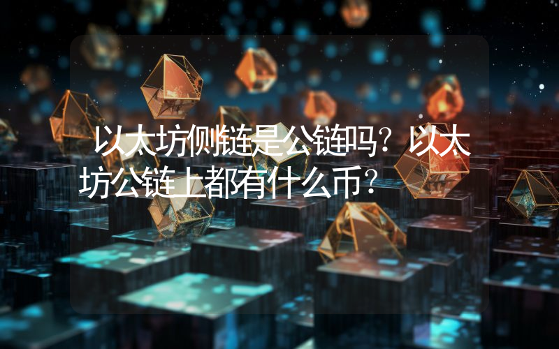 以太坊侧链是公链吗？以太坊公链上都有什么币？