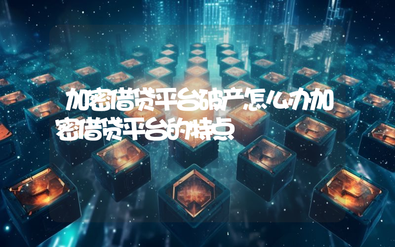 加密借贷平台破产怎么办加密借贷平台的特点
