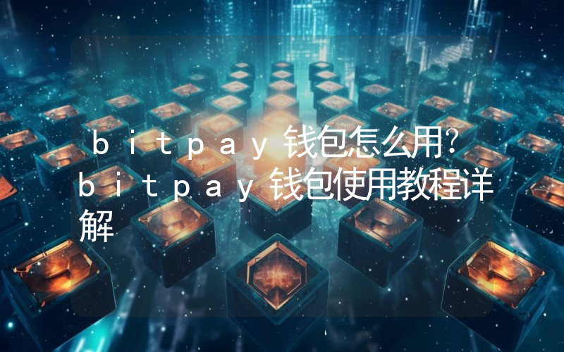 bitpay钱包怎么用？bitpay钱包使用教程详解