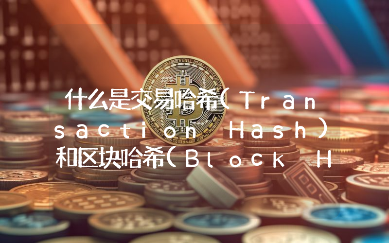 什么是交易哈希(Transaction Hash)和区块哈希(Block Hash)？