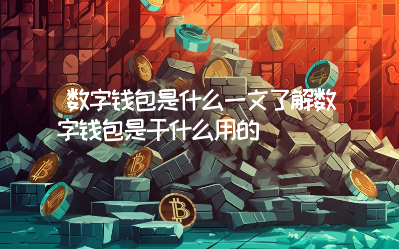 数字钱包是什么一文了解数字钱包是干什么用的