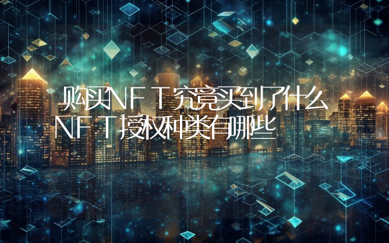购买NFT究竟买到了什么NFT授权种类有哪些
