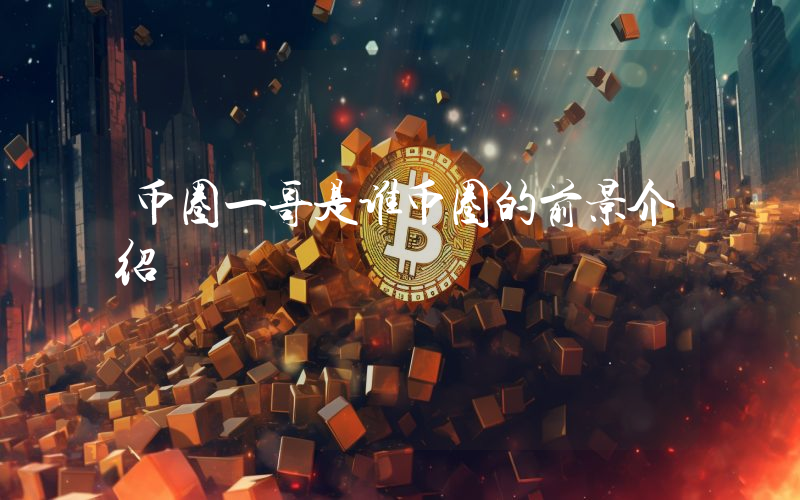 币圈一哥是谁币圈的前景介绍