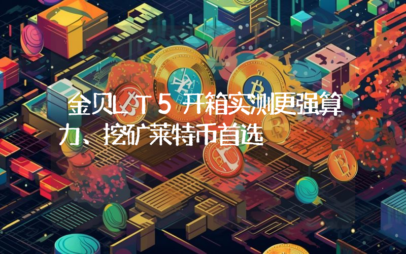 金贝LT5开箱实测更强算力、挖矿莱特币首选