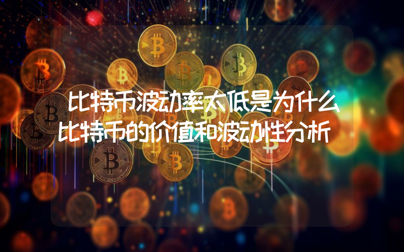 比特币波动率太低是为什么比特币的价值和波动性分析