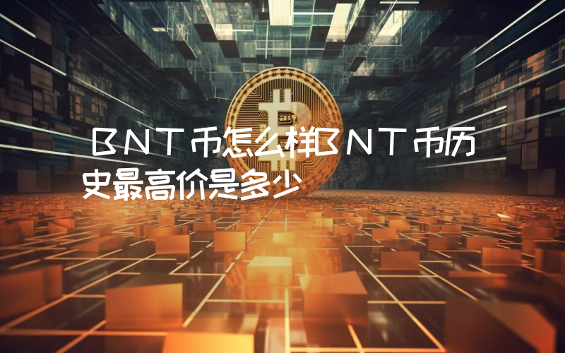 BNT币怎么样BNT币历史最高价是多少