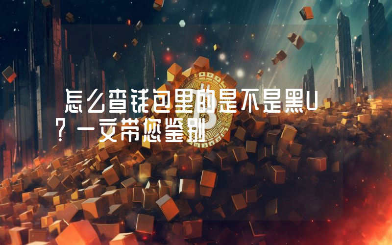 怎么查钱包里的是不是黑U？一文带您鉴别