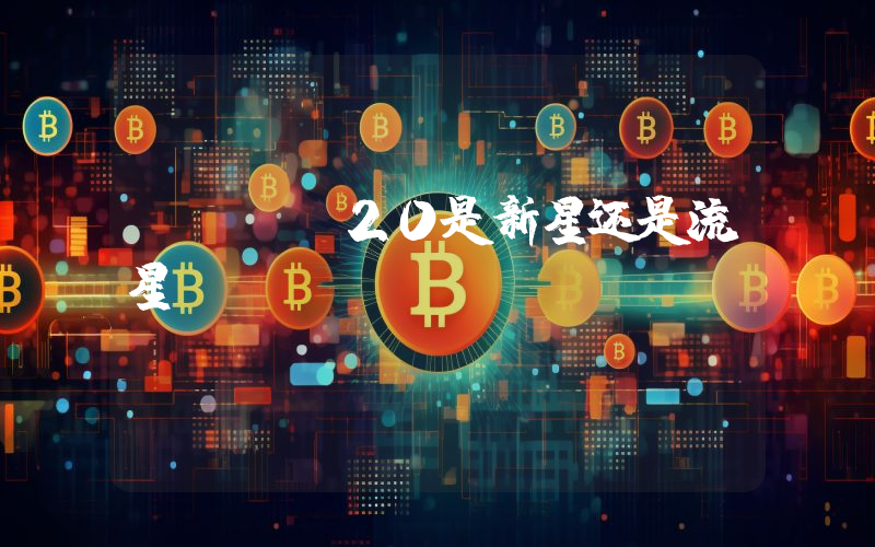 BRC-20是新星还是流星？