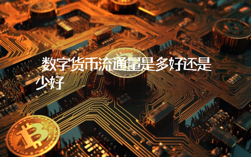 数字货币流通量是多好还是少好