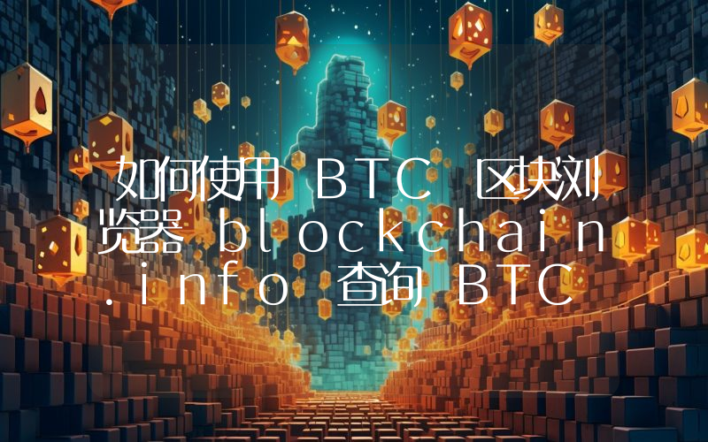 如何使用 BTC 区块浏览器 blockchain.info 查询 BTC 交易信息