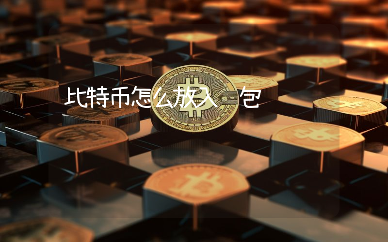 比特币怎么放入钱包