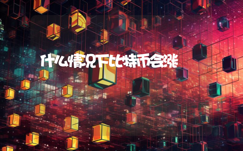 什么情况下比特币会涨