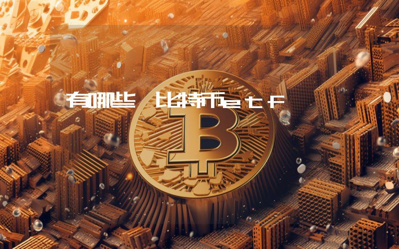 有哪些 比特币etf