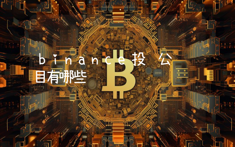 binance投资公链项目有哪些