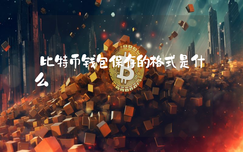 比特币钱包保存的格式是什么