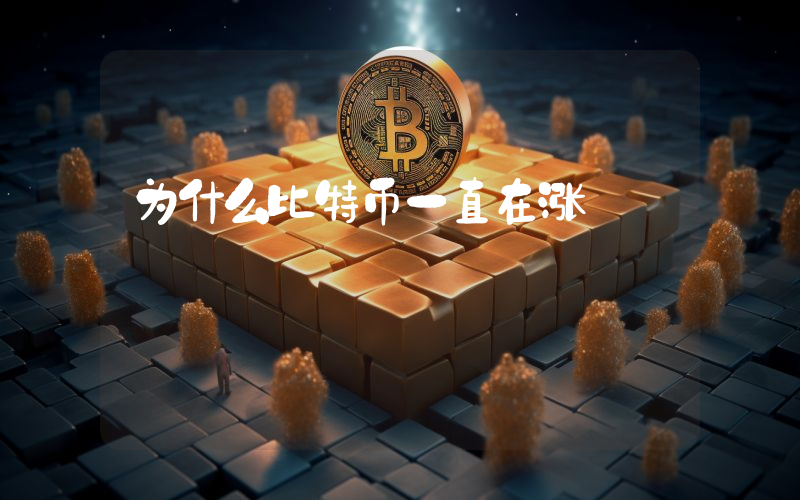 为什么比特币一直在涨