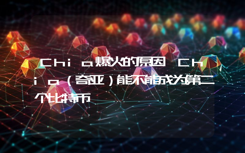 Chia爆火的原因,Chia（奇亚）能不能成为第二个比特币