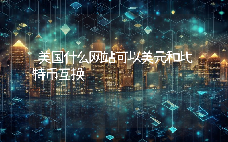 美国什么网站可以美元和比特币互换