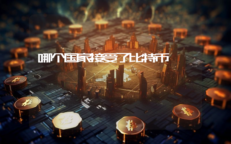 哪个国家接受了比特币