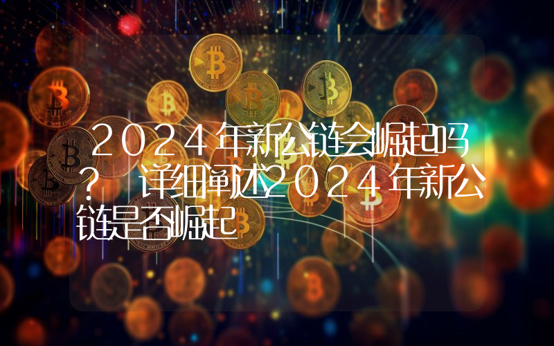 2024年新公链会崛起吗？ 详细阐述2024年新公链是否崛起