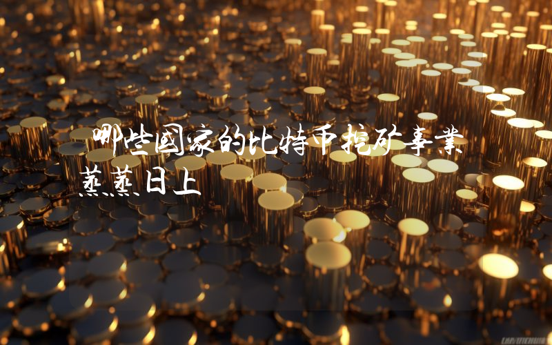 哪些国家的比特币挖矿事业蒸蒸日上